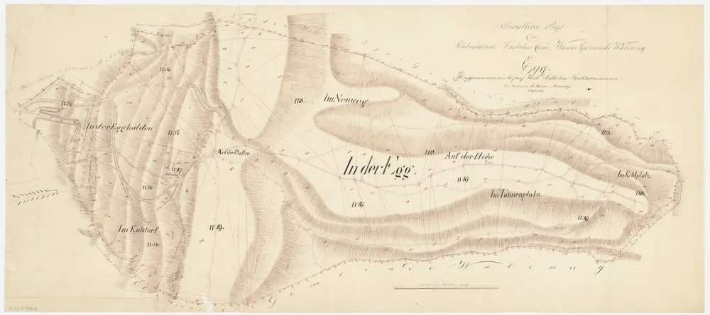 Schleinikon: Gemeindewaldungen Schleinikon, Dachsleren und Wasen: Egg mit Egghalden, Chalstorf (Im Kalstorf), Schliniker Platten (Auf der Platten), Neuweg, Uf der Höchi (Höhe), Schliniker Buck, Tannenplatz, Cholplatz (Kohlplatz); Grundriss