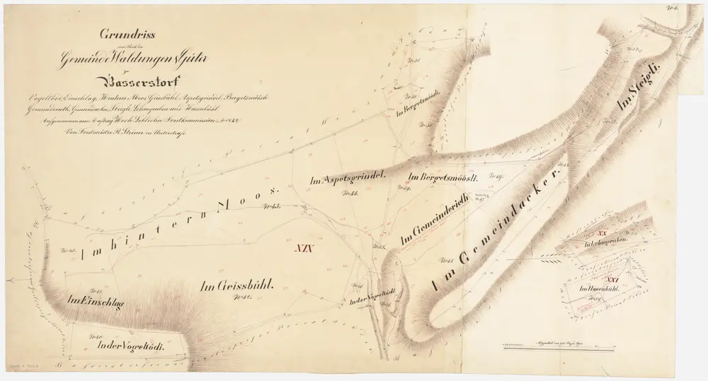 Bassersdorf: Gemeindewaldung: Hintermoos (Im hintern Moos), Im Bergetsmöösli, Im Aspetsgrindel, Ischlag (Im Einschlag), Vogeltöti (In der Vogeltödi), Geissbüel (Im Geissbühl), Gmeindriet (Im Gemeinderieth), Gmeindacher (Im Gemeindacker), Steinlig (Im Steigli), In Lehmgruben, Im Hasenbühl; Grundrisse (Nr. 6)