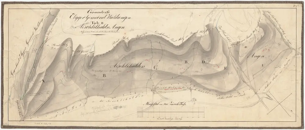 Elgg: Gemeindewaldung: Äschlihalde, Angen; Grundriss (Tab. II)