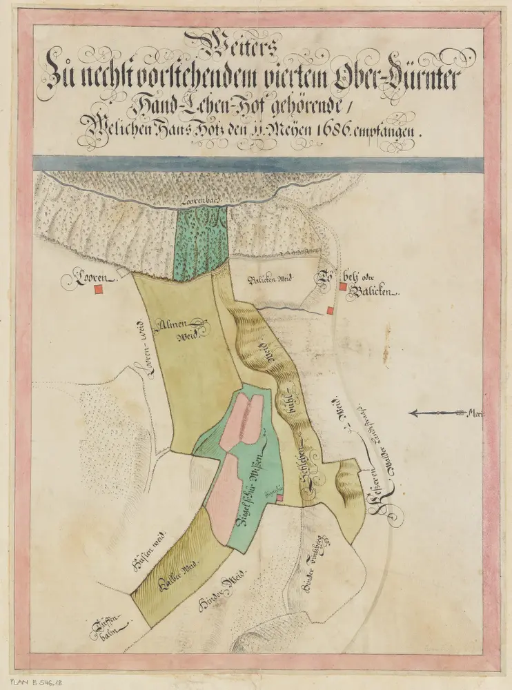 Rüti, Dürnten, Bubikon, Wald, Goldingen SG: Grundriss und Beschreibung der Güter, Waldungen und Handlehen des Amts Rüti sowie der beiden Alpen Scheidegg und Boalp (ältere Schreibweise: Poo-Alp), Band I: Seite 149: Weitere zum vierten Handlehenhof zu Oberdürnten gehörende Güter; Grundriss