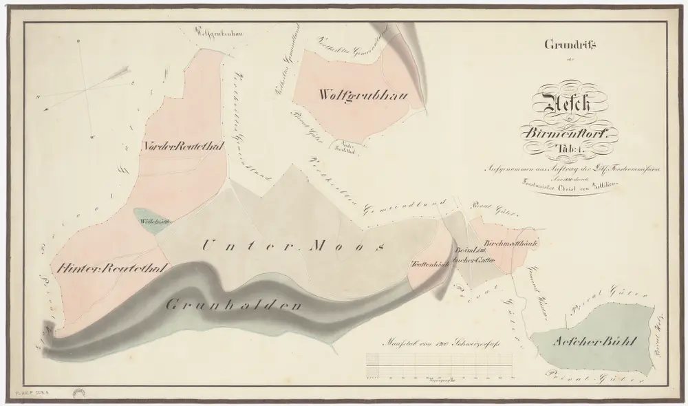 Aesch, Birmensdorf: Waldungen: Aesch: Genossenschaftswaldungen Reuental (Reutethal), Untermoos, Aescherbüel, Gruenhalden (Grunhalden), Wolfgrueb; Grundriss (Tab. 1)