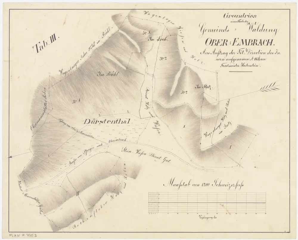 Oberembrach: Gemeindewaldung: Dürstental (Dürstenthal), Loch, Böl (Bühl), Stutz; Grundriss (Tab. III)