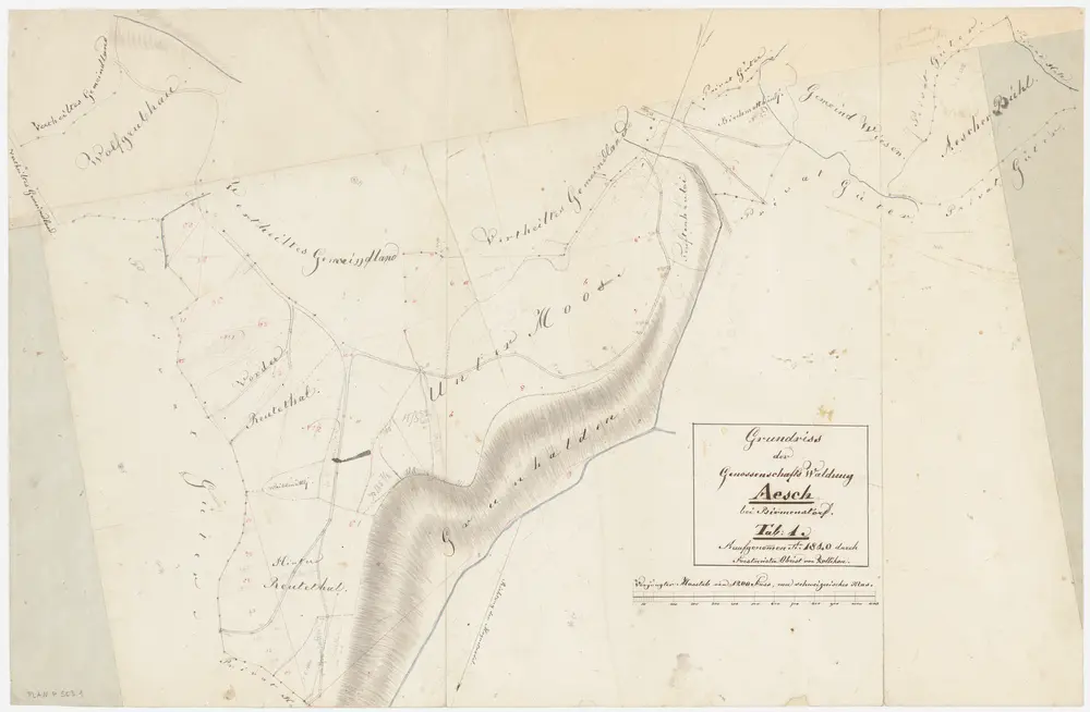 Aesch, Birmensdorf: Waldungen: Aesch: Genossenschaftswaldungen Reuental, Untermoos, Aescherbüel; Grundriss (Tab. 1)