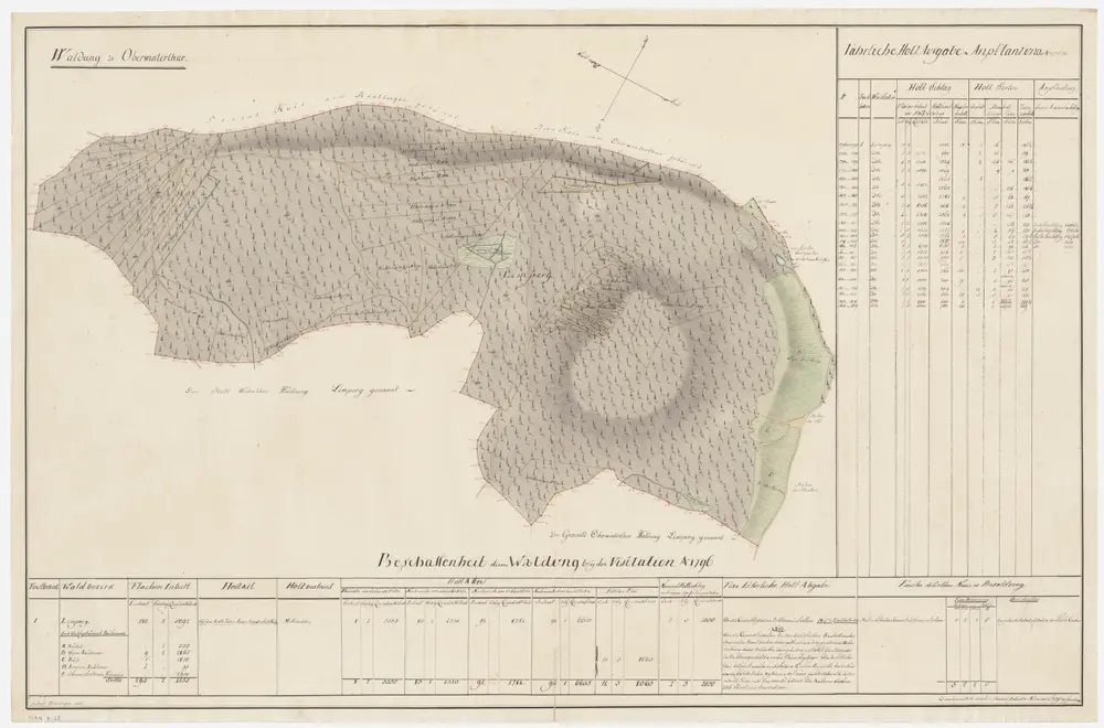 Oberwinterthur: Dem Amt Winterthur gehörende Waldung (Waldbezirk Lindberg); Grundriss (III. Planche)