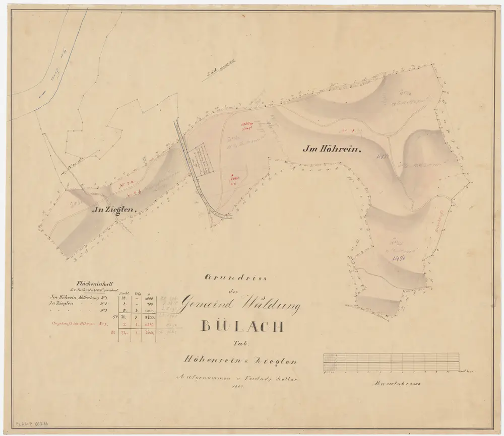 Bülach, Hochfelden: Gemeindewaldungen Bülach und Eschenmosen: Bülach: Höhrain (Höhrein), Zieglen; Grundriss