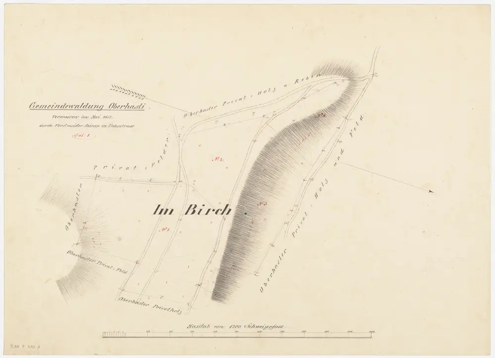 Niederhasli: Zivilgemeindewaldung Oberhasli: Birch; Grundriss (Tab. I)