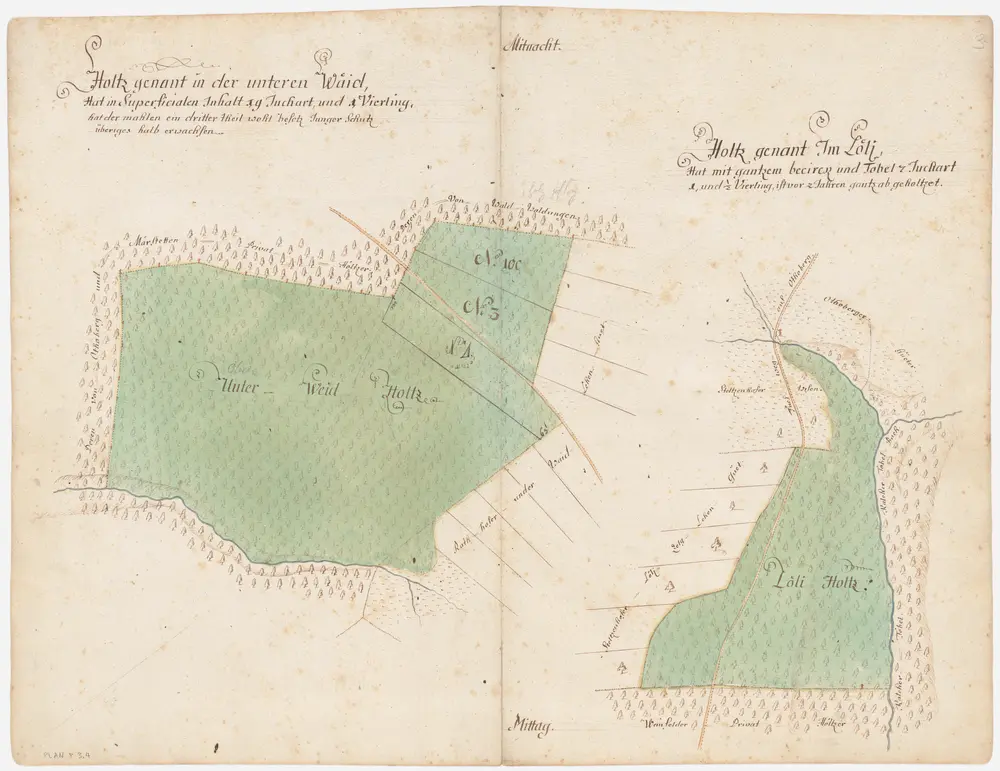 Weinfelden TG: Der Herrschaft Weinfelden gehörende Waldungen, Hölzer und Holzböden; Grundrisse: Unterweid- und Löliholz; Grundrisse