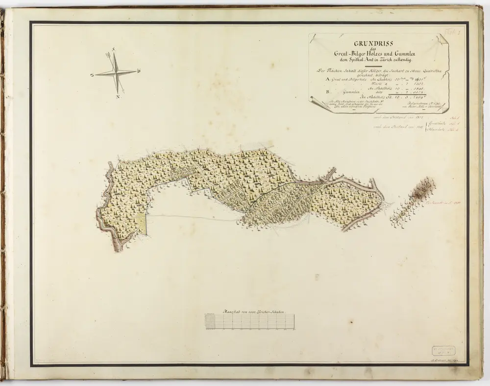 Verschiedene Gemeinden: Sämtliche dem Spital Zürich gehörende Waldungen und Lehenhölzer; Grundrisse: Grüt-Bilger-Holz und Gummlen