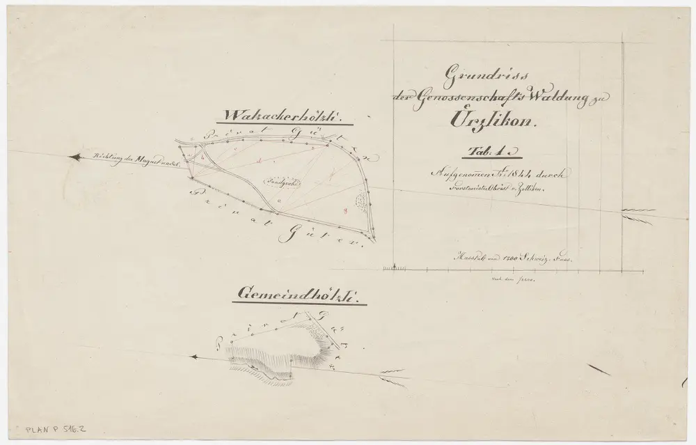 Kappel am Albis: Lehen- und Genossenschaftswaldungen Uerzlikon: Genossenschaftswaldungen Walzackerhölzli, Gemeindhölzli; Grundrisse (Tab. 1)