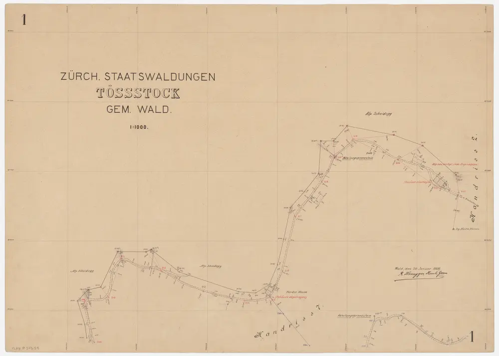 Wald, Fischenthal, Goldingen SG: Waldungen: Wald: Staatswaldung Tössstock; Grundriss 1