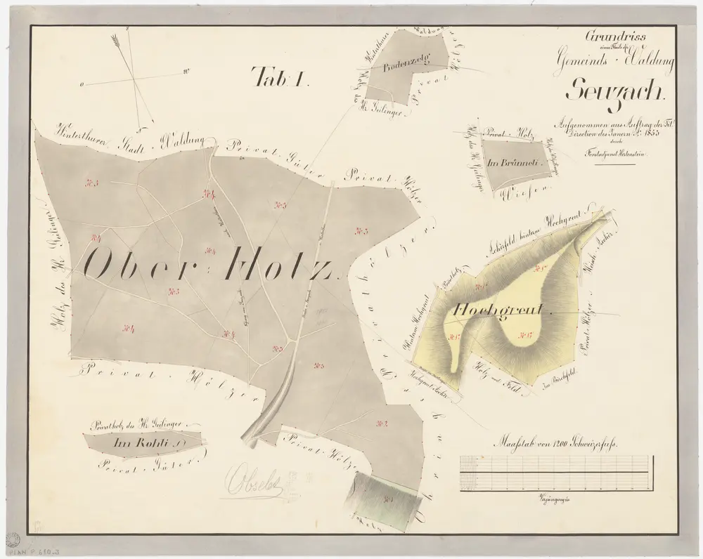 Seuzach: Gemeindewaldung: Oberholz, Rolli (Im Rohli), Hochgrüt-Scheidegg (Hochgreut), Im Brünneli, Bodenzelg; Grundrisse (Tab. I)