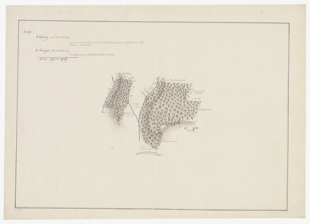 Weinfelden TG: Waldungen Neuberg und Sauruggen; Grundriss (Plan VII)