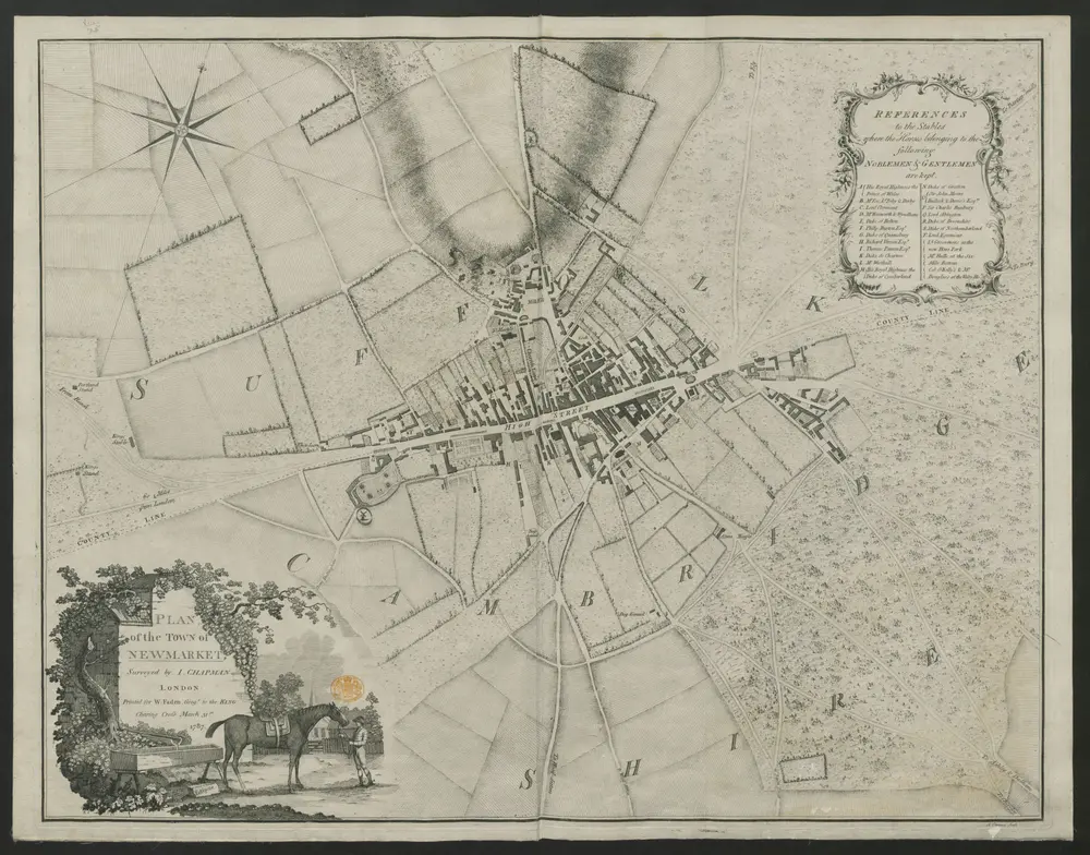 Plan of the Town of Newmarket, Surveyed by I. Chapman.