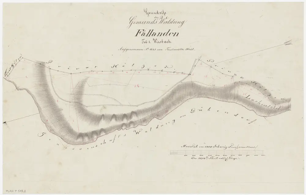 Fällanden: Gemeinde- und Genossenschaftswaldungen: Gemeindewaldung Wisbach (Wiesbach); Grundriss (Tab. 1)