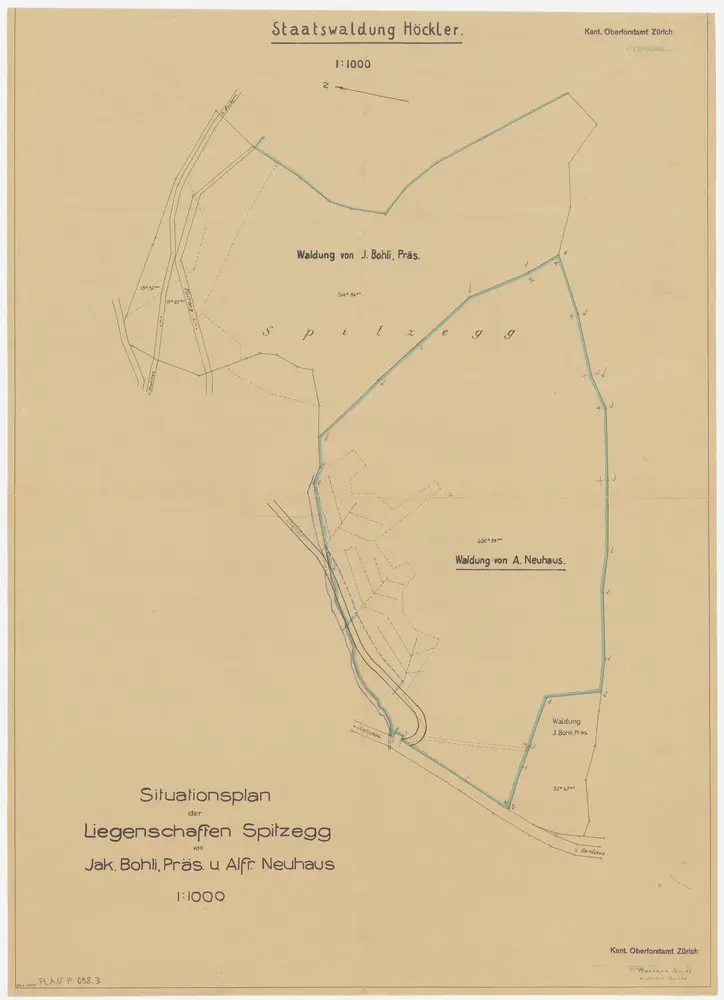 Bonstetten, Stallikon: Staatswaldung Höckler: Stallikon: Grenzrevision bei den Privatwaldungen von Jakob Bohli, Präsident, sowie von Alfred Neuhaus in der Spitzegg; Grundriss