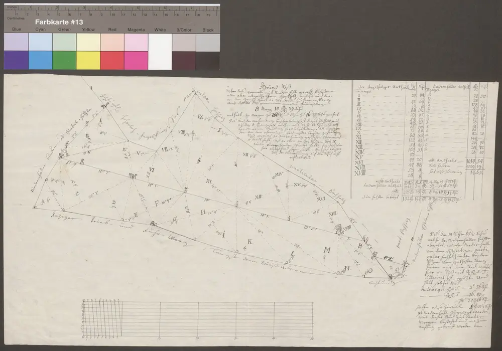 HZAN GA 100_Nr. 302_ : Niedernhall; "Grundriß über das vormals mit Niedernhall gemeinsam besessene, nun aber abgeteilte Hochholz;Gärtner Wenderle zu Hermersberg;60 Ruten = 21,6 cm;46 x 25 cm;Papier; Federzeichnung; Einteilung in Drei- und Vierecke zur Vermessung; rechts Erklärung.