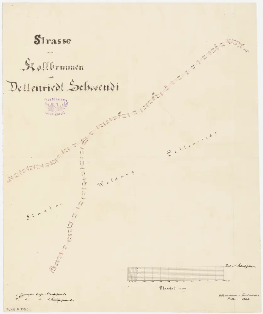 Weisslingen, Winterthur: Staatswaldungen Dettenried und Schartegg: Weisslingen: Dettenried mit Strasse von Kollbrunn nach Schwändi; Grundriss