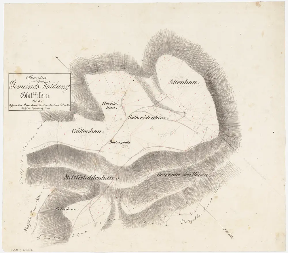 Glattfelden: Gemeindewaldung: Erlihau (Erlenhau), Mittlenstalenhau (Mittlistahlenhau), Hau unter den Häuen, Güllenhau, Hörnlehau, Buechenplatz (Buchenplatz), Salwidenhau (Sallweidenhau), Altenhau; Grundriss (Tab. II)