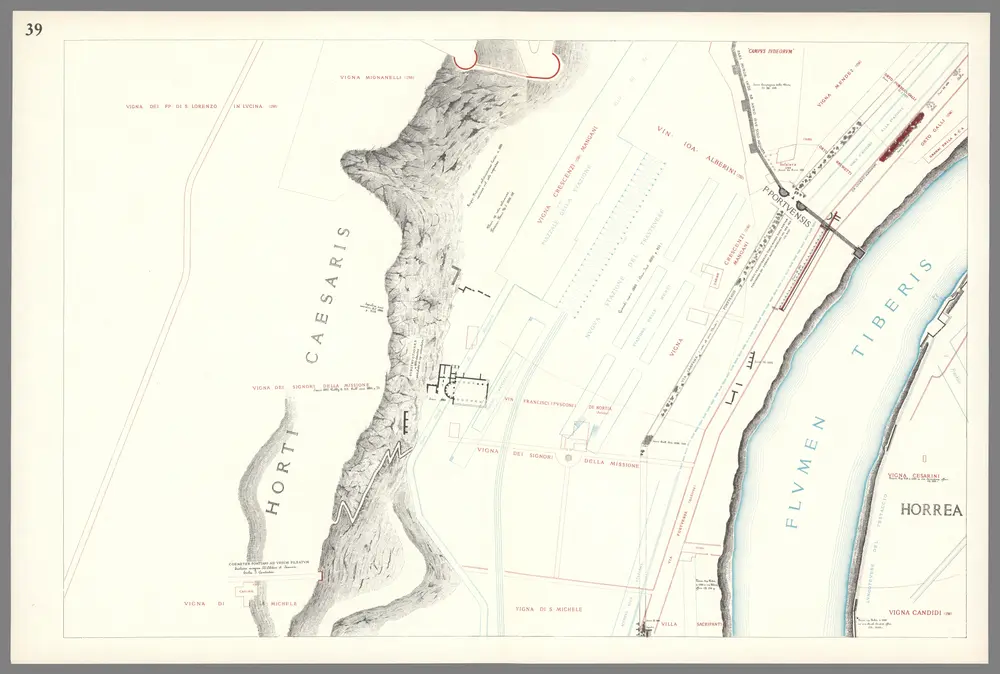 Sheet 39: Forma Urbis Romae.