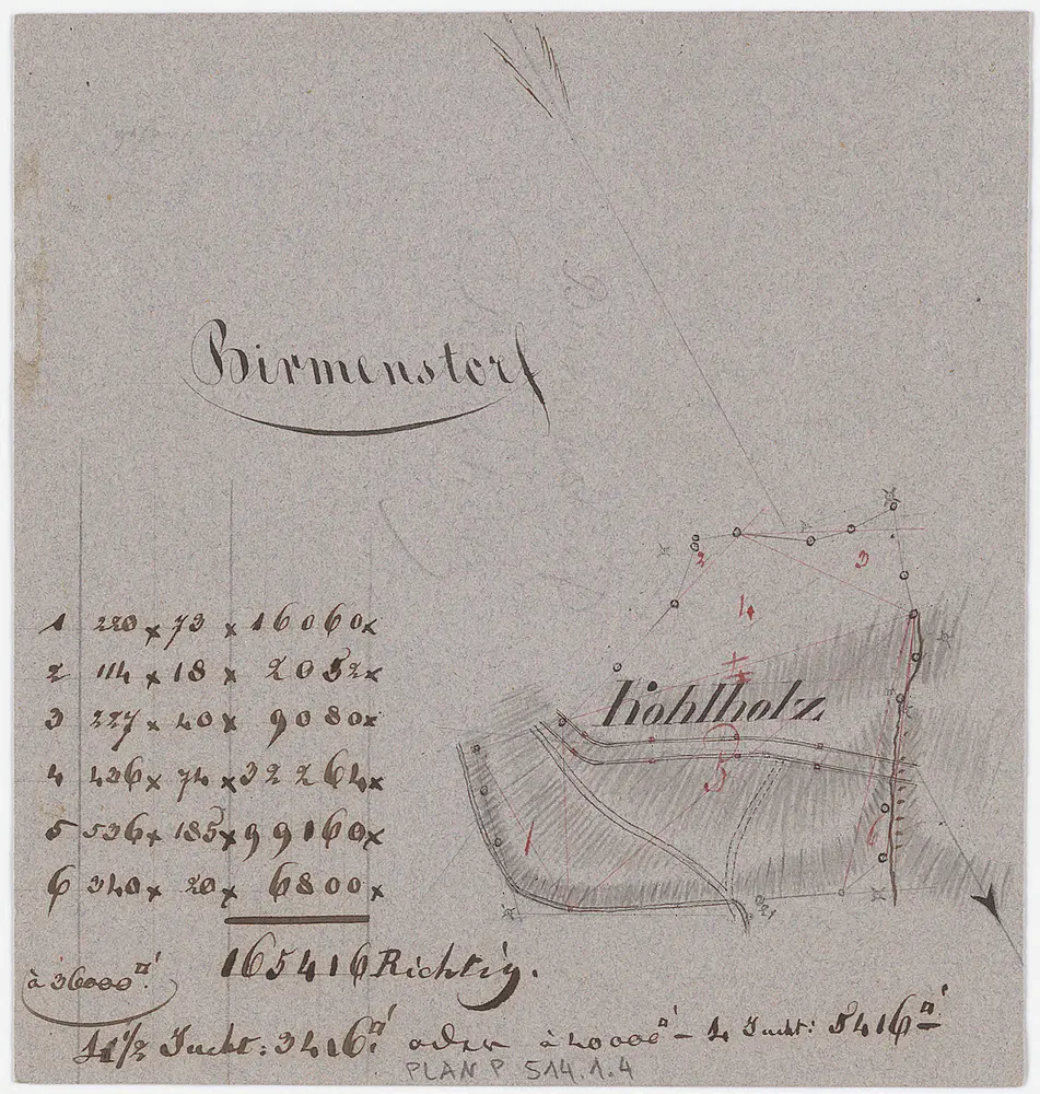 Birmensdorf: Gemeinde- und Genossenschaftswaldungen: Cholholz (Kohlholz); Grundriss