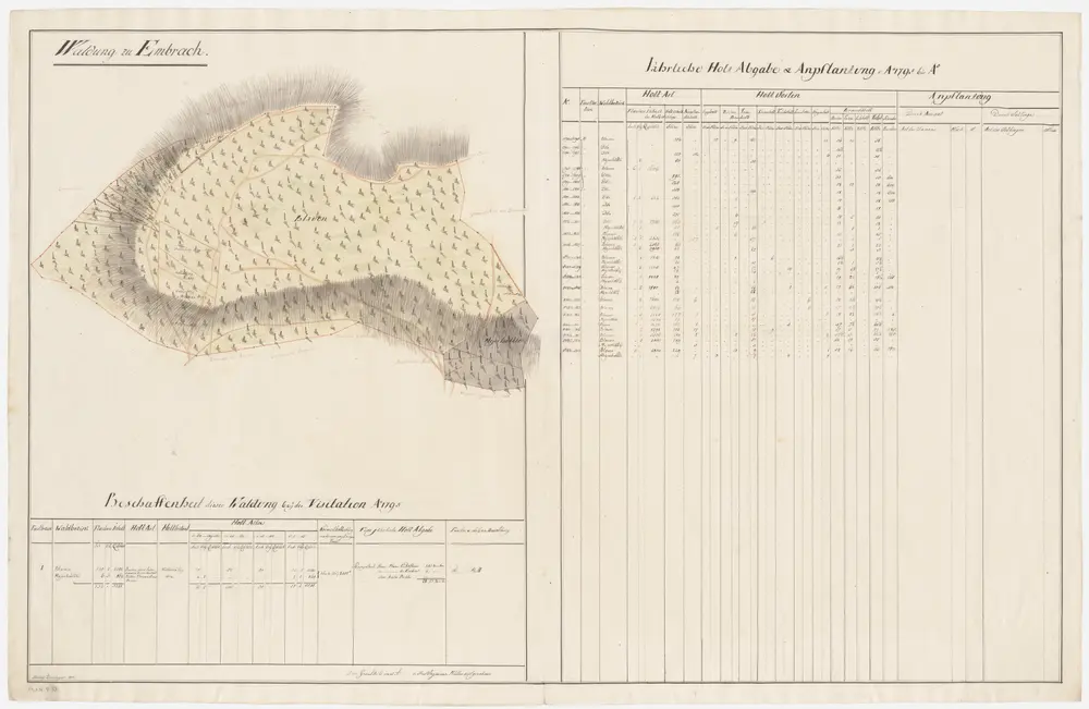 Embrach: Dem Obmannamt gehörende Waldung (Waldbezirke Blauen und Meierhölzli); Grundrisse (II. Planche)