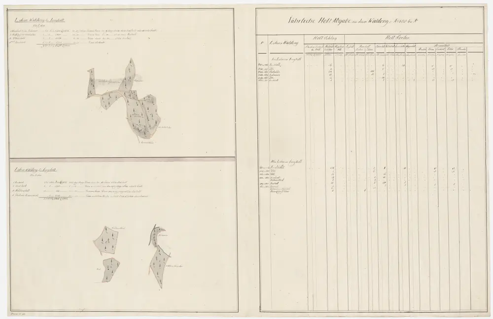 Gossau: Dem Amt Rüti gehörende Waldung Jungholz (I. und II. Lehen); Grundrisse (XXII. Planche)