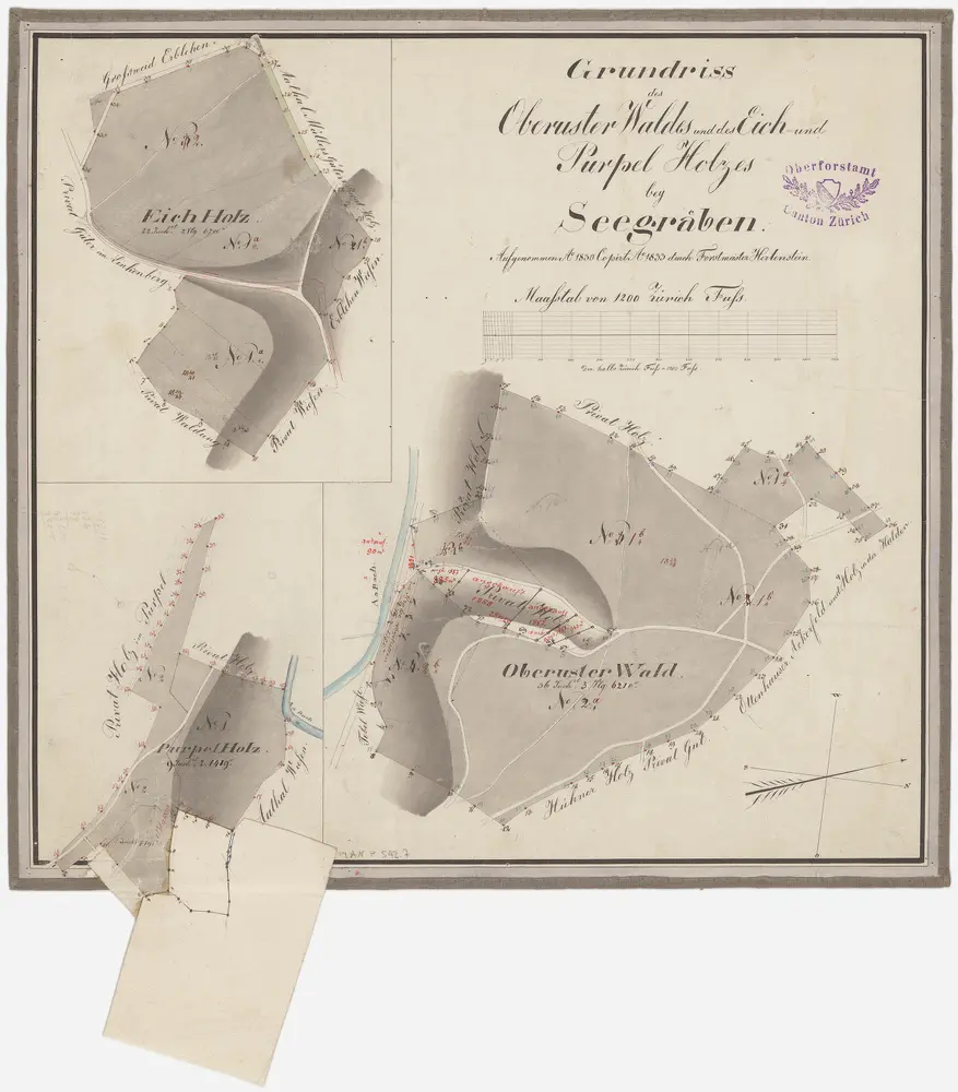 Uster, Seegräben: Staatswaldungen: Uster: Oberustermer Wald (Oberuster Wald), Purpel, Eichholz; Grundrisse