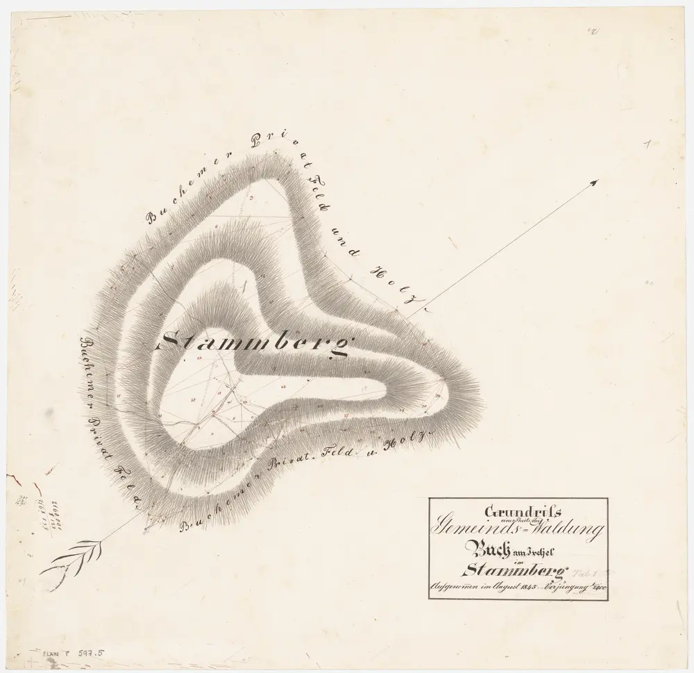 Buch am Irchel: Gemeindewaldung: Stammberg; Grundriss (Tab. I)