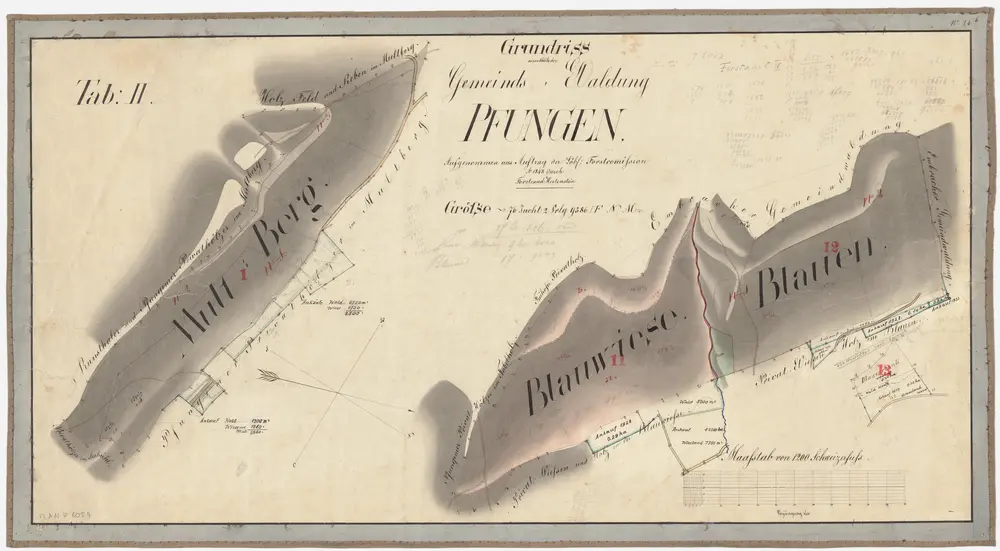 Pfungen: Gemeindewaldung: Multberg, Blawis (Blauwiese), Rietli, Blanen (Blauen, Plauen); Grundrisse (Tab. II)