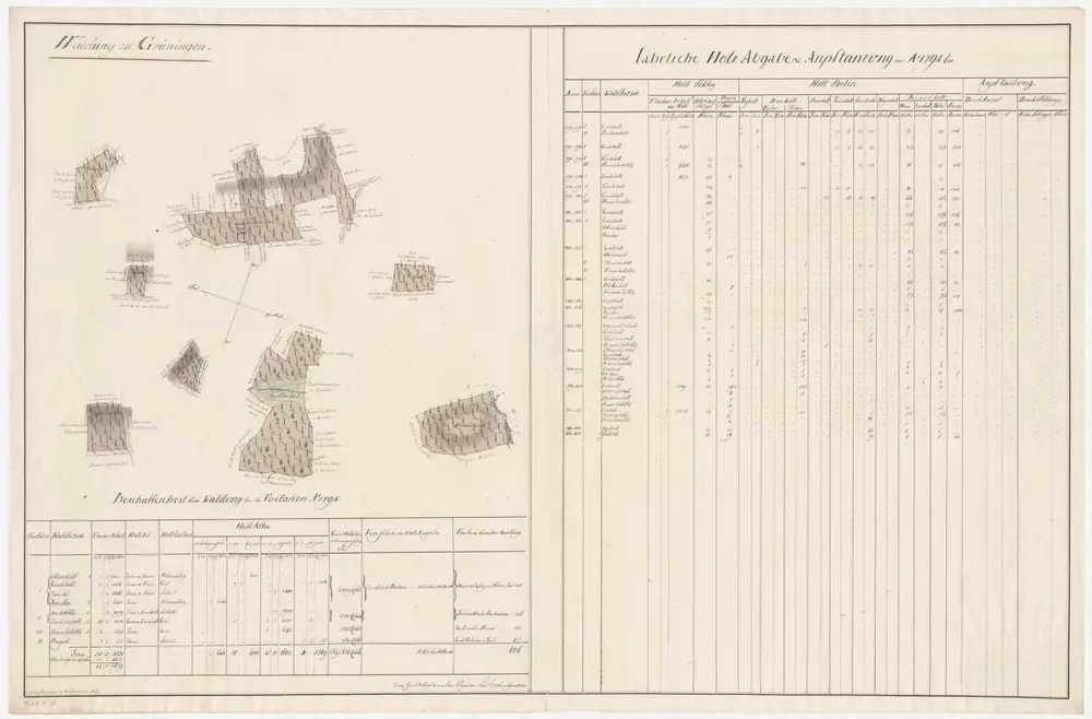 Grüningen: Dem Amt Rüti gehörende Waldung zu Grüningen (Waldbezirke Ottikerbühl, Grossholz, Bruderhölzli, Böndler, Tändlikerholz, Twandel, Hinweilerhölzli, Prempelholz); Grundrisse (VI. Planche)