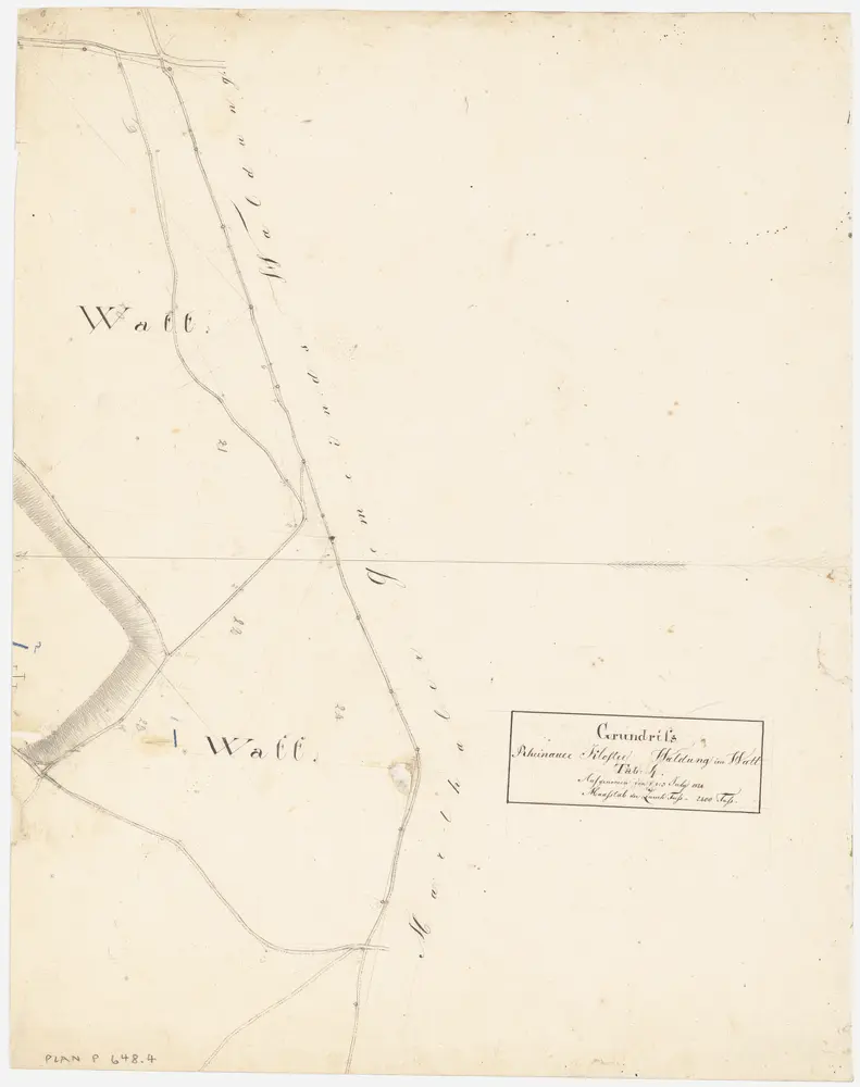 Rheinau: Gemeinde-, Kloster- und Genossenschaftswaldungen: Klosterwaldung Watt; Grundriss (Tab. 4)