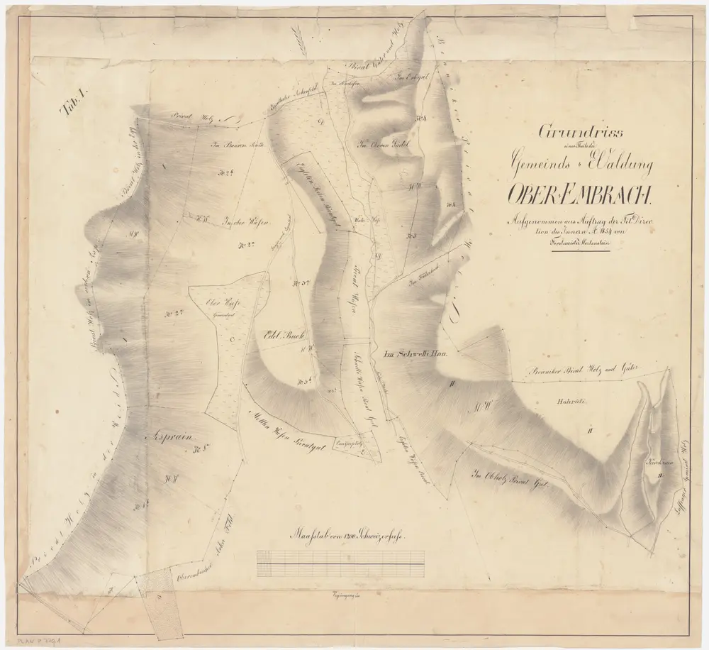 Oberembrach: Gemeindewaldung: Bauren Rieth, Oberwisen (Oberwiesen), Aspenrain (Asprain), Edlibuck (Edelbuck), Erbgut, Backofen, Im Obern Sädel, Federloch, Schwellihau, Horüti (Hohrüti), Kirchrain; Grundriss (Tab. I)