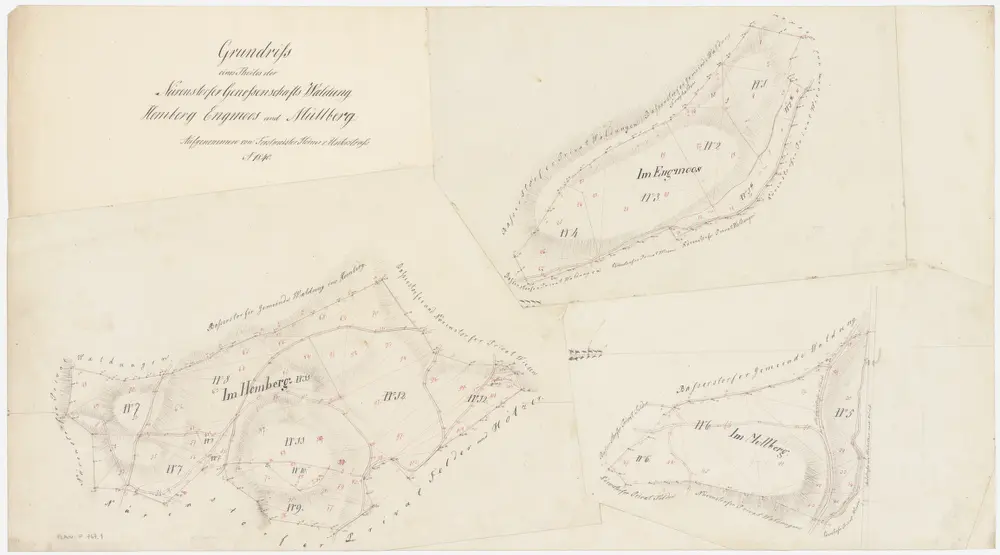 Nürensdorf: Gemeinde- und Genossenschaftswaldungen: Genossenschaftswaldungen Homberg, Engmoos, Mülberg (Müllberg); Grundrisse