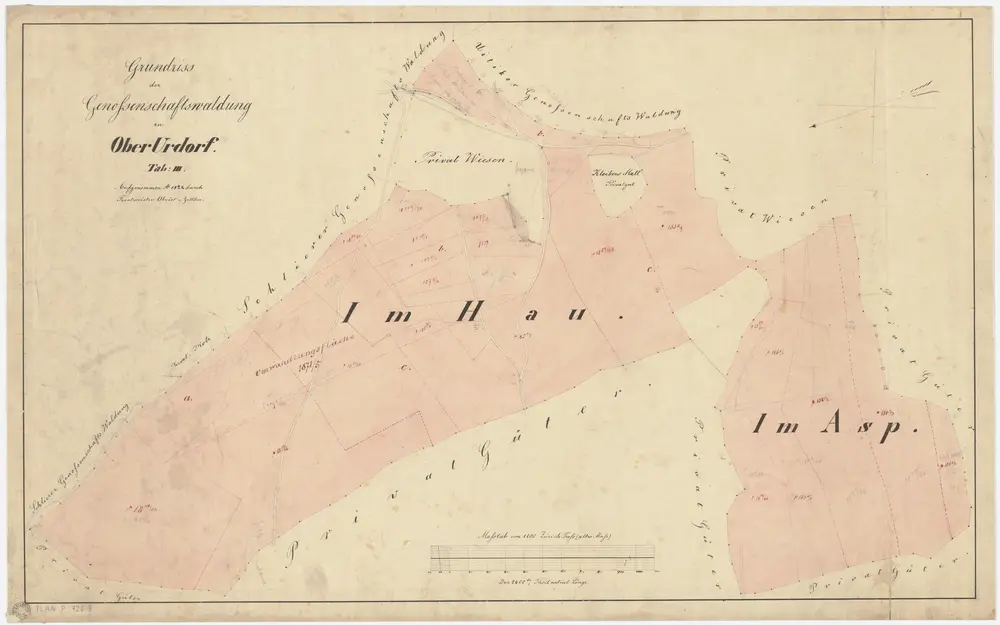 Urdorf: Gemeinde- und Genossenschaftswaldungen Oberurdorf: Oberurdorfer Genossenschaftswaldungen Hau und Asp; Grundriss (Tab. 3)