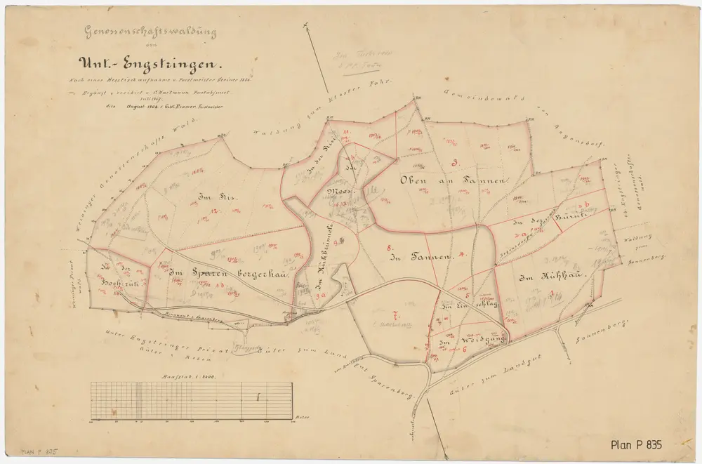 Unterengstringen: Genossenschaftswaldungen Hochrüti, Ris, Sparrenberger Hau (Sparenbergerhau), Oben an Tannen, Tannen, Ischlag (Einschlag), Chüehau (Kühhau), Weidgang; Grundriss