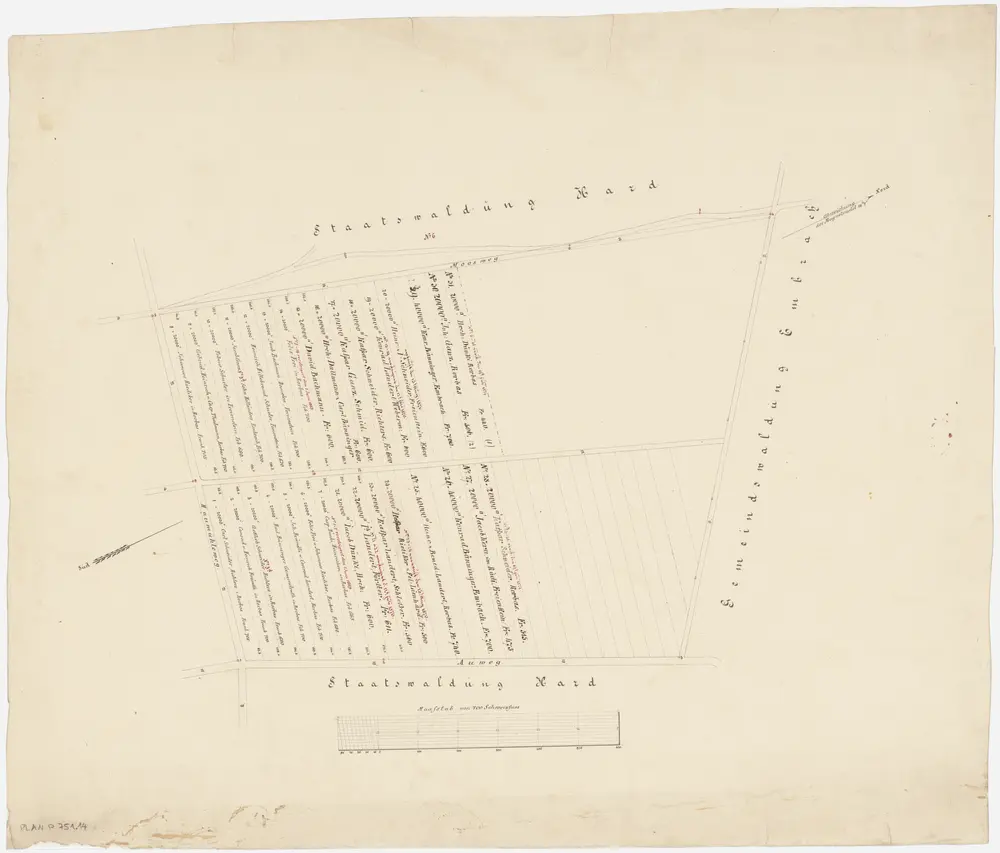 Embrach: Staatswaldung: Vom Staat in den Jahren 1869-1871 versteigerte Parzellen im Hard (Hardwald); Grundriss