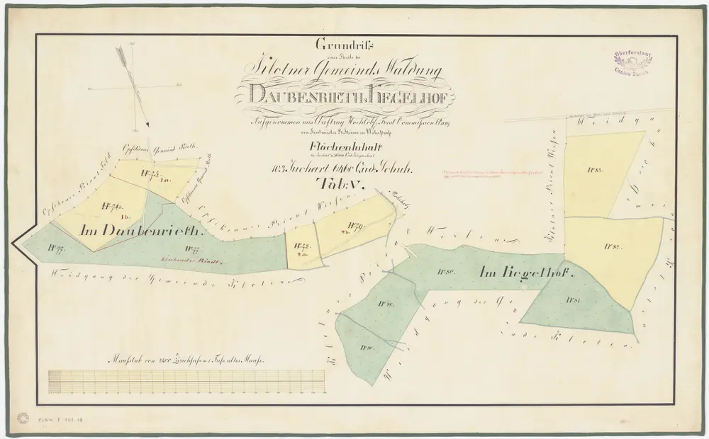 Kloten: Gemeinde- und Genossenschaftswaldungen: Gemeindewaldungen Daubenried und Kegelhof; Grundrisse (Tab. V)