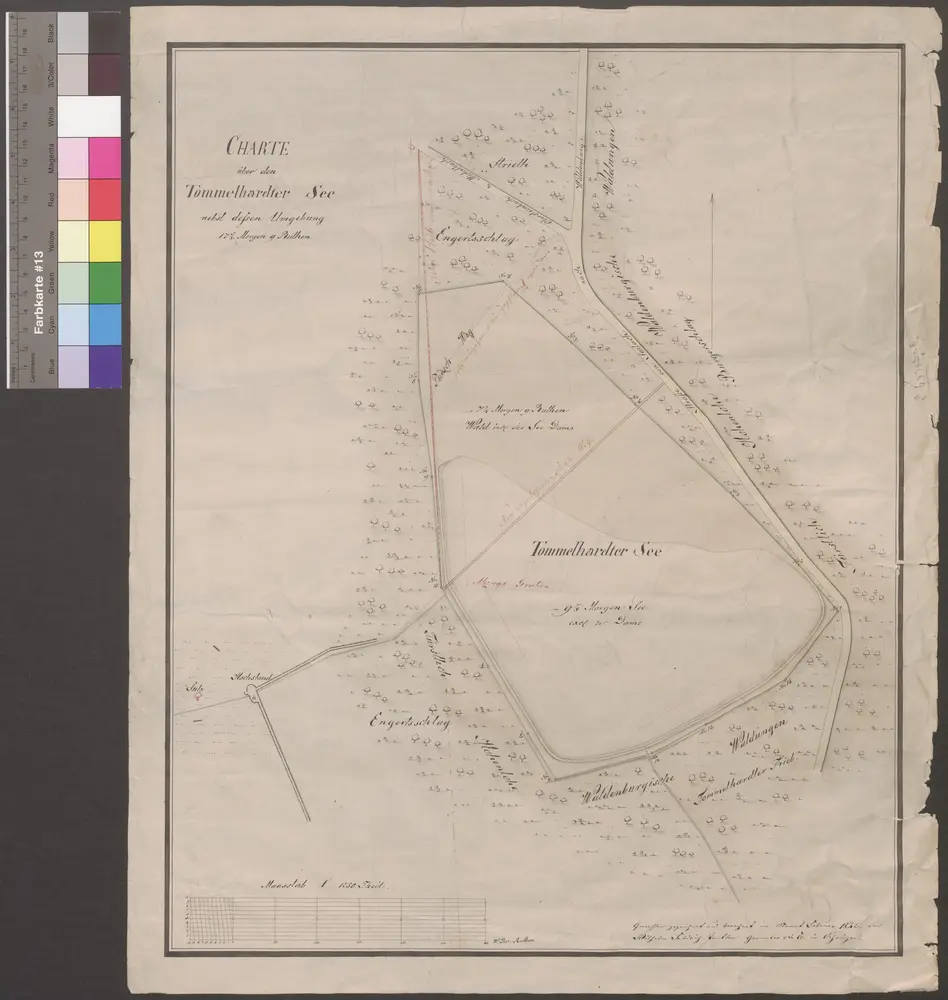 HZAN GA 100_Nr. 389_ : Tommelhardt (Gemeinde Waldenburg); "Charte über den Tommelhardter See";Wilhelm Friedrich Pantlen, Geometer 2. Kl. in Öhringen;60 Ruten = 13,8 cm;40 x 49 cm;Papier; Federzeichnung.