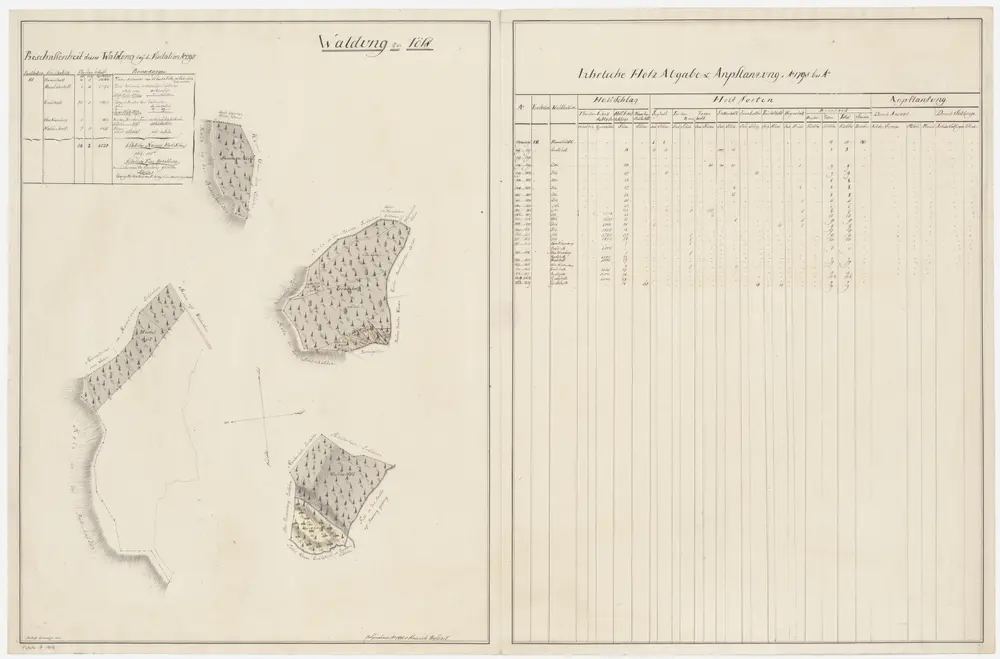 Töss: Dem Amt Winterthur gehörende Waldung (Waldbezirke Homelholz, Homelackerholz, Grossholz, Ober Niesenberg und Haldenholz); Grundrisse (XIV. Planche)