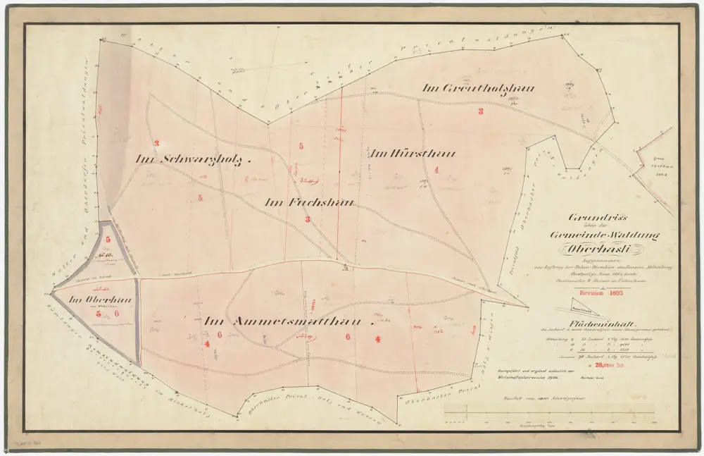 Niederhasli: Gemeindewaldung Oberhasli mit Oberhau bzw. Weberhau, Ametsmatt (Ammetsmatthau), Schwarzholz, Fuchshau, Hürsthau, Greutholzhau, Gross Ibig (Gross Ibethau); Grundriss