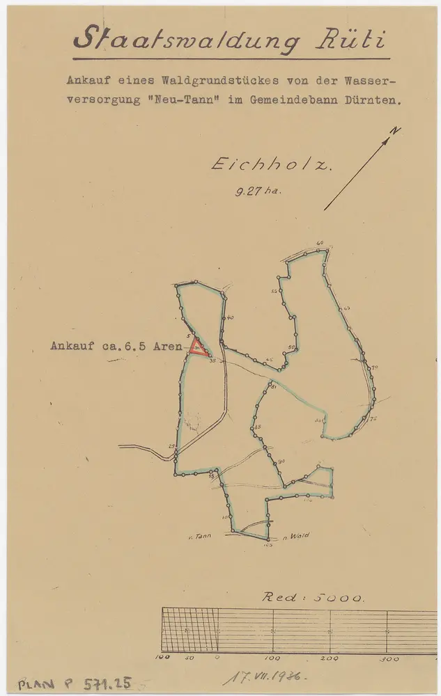 Rüti, Dürnten, Bubikon: Staatswaldung: Dürnten: Ankauf eines beim Eichholz gelegenen Waldgrundstücks von der Wasserversorgung Neu-Tann; Grundriss