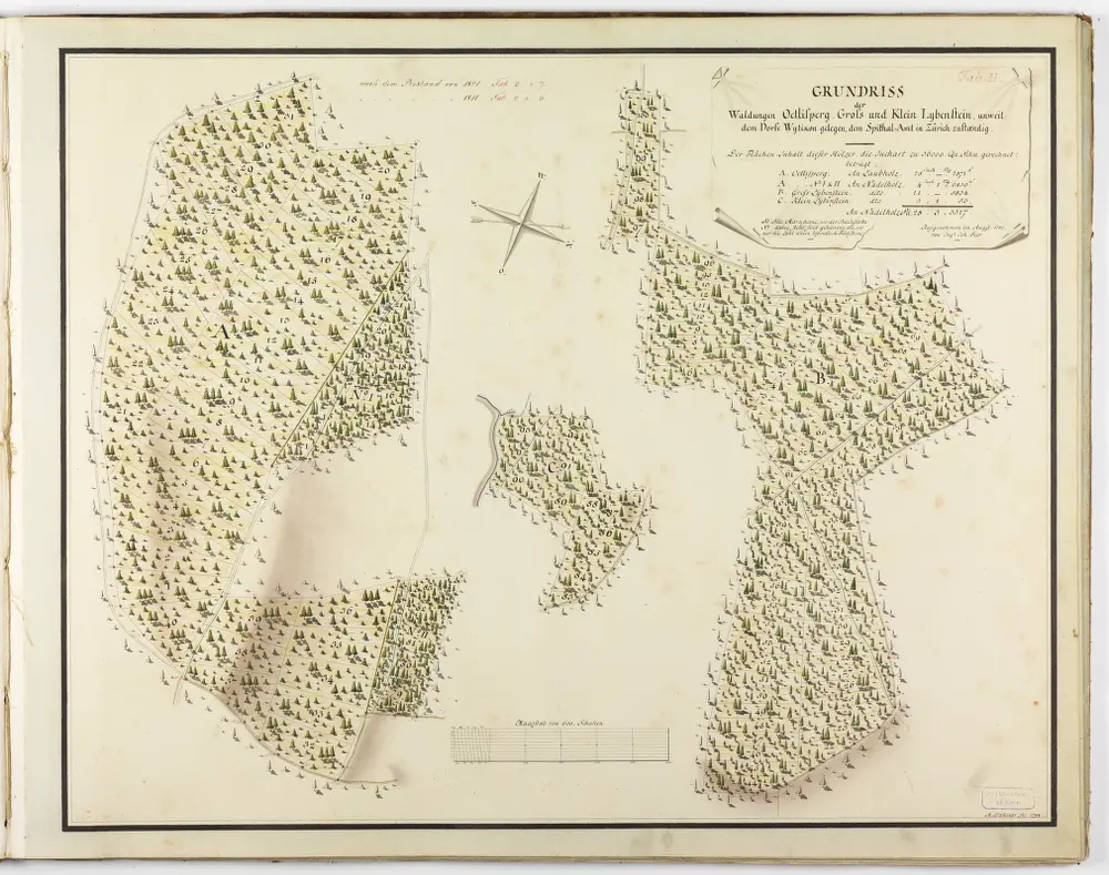 Verschiedene Gemeinden: Sämtliche dem Spital Zürich gehörende Waldungen und Lehenhölzer; Grundrisse: Oetlisberg, Gross- und Klein-Lybenstein