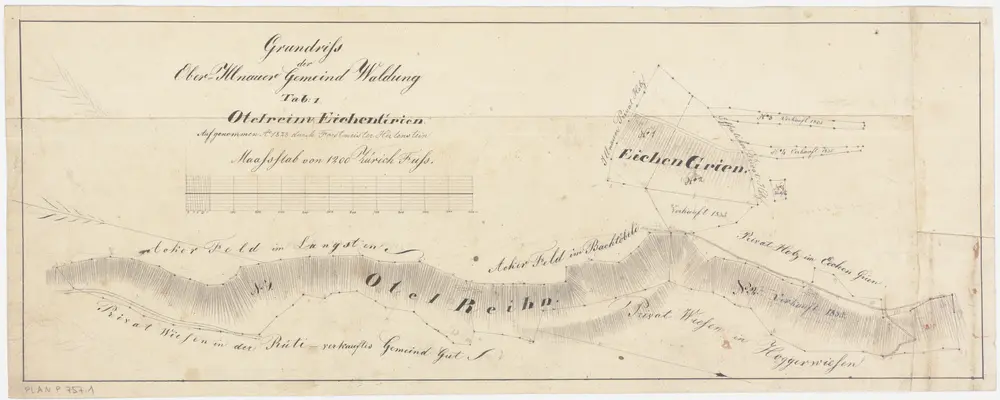 Illnau-Effretikon (damals Illnau): Gemeinde- und Genossenschaftswaldungen Oberillnau und Unterillnau: Gemeindewaldung Oberillnau mit Otelrain (Otel-Reihn) und Eich (Eichengrien); Grundriss (Tab. 1)