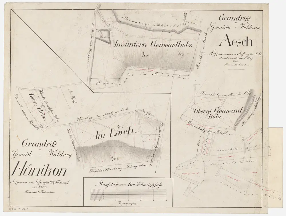 Neftenbach: Gemeindewaldung Aesch: Gemeindewaldungen Aesch und Hünikon mit Karholz, Loch, Birch, Unteres Gemeindeholz, Oberes Gemeindeholz; Grundrisse