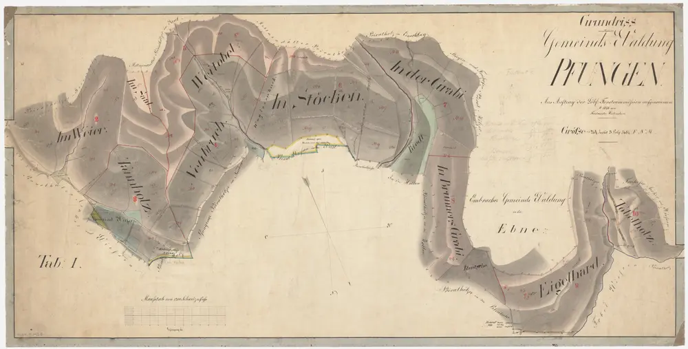 Pfungen: Gemeindewaldung: Weiher (Im Weier), Sal (Saal), Tannholz, Neubruch, Weitobel, Stöcken, Grabi, Brunnengrabi, Bläutschi (Bleutsche), Eigelharten, Tobelholz; Grundriss (Tab. I)