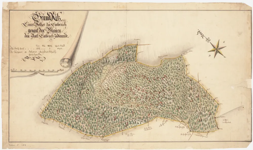 Embrach: Dem Amt Embrach gehörende Waldung Blauen; Grundriss