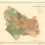 Dinglingen, aufgeg. in Lahr/Schwarzwald, Stadt, OG mit Langenwinkel. GLAK H-1 Gemarkungspläne