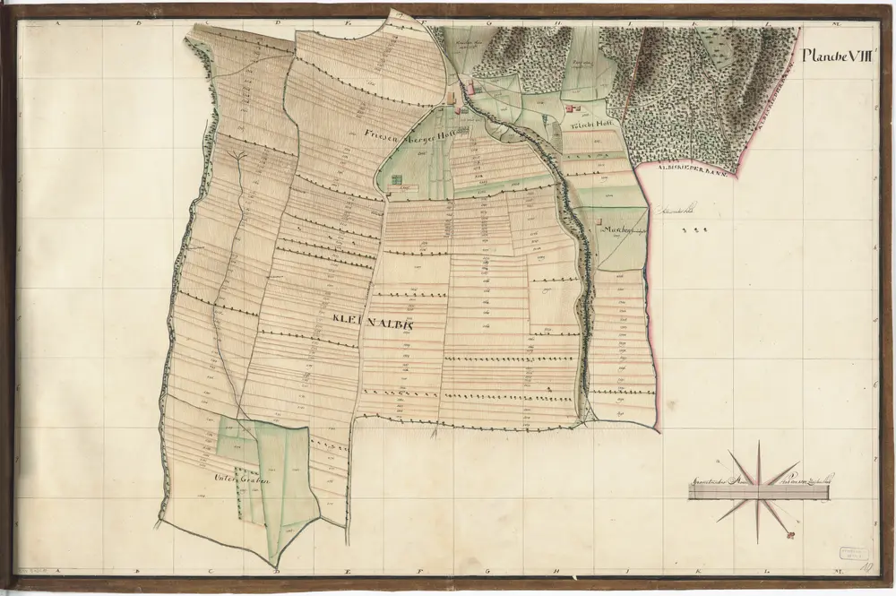 Wiedikon und Aussersihl: Vermessung der Gemeinden: Planche VIII: Kleinalbis, Unterer Graben, Friesenberger- und Tölschihof