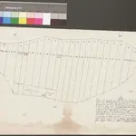 HZAN GA 100_Nr. 298_ : Neunkirchen; "Plan über den ... Hohenlohe-Bartenstein gehörigen See, ... jetzt aber zu Wiesen und Gärten angelegt, in dem Neunkirchener Forst gelegen";Joh. Christian Weinmann, Feldmesser, Pfedelbach;ohne Maßstab;43,5 x 29,5 cm;Papier; Federzeichnung; Verteilungsstücke mit Meßgehalt.