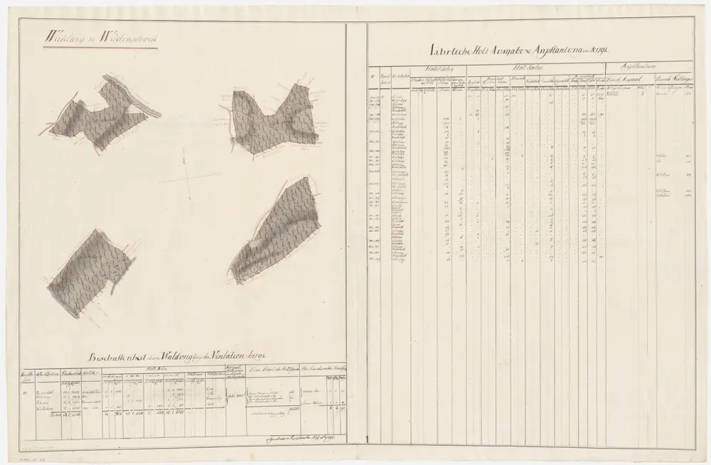 Wädenswil: Dem Amt Küsnacht gehörende Waldung (Waldbezirke Rinderholz, Schlieregg, Schumel und Winterberg); Grundrisse (IV. Planche)